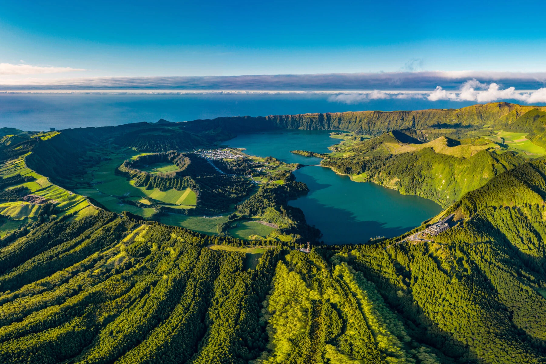 TNFD launches new capacity-building platform to scale market confidence and capabilities on nature-related issues