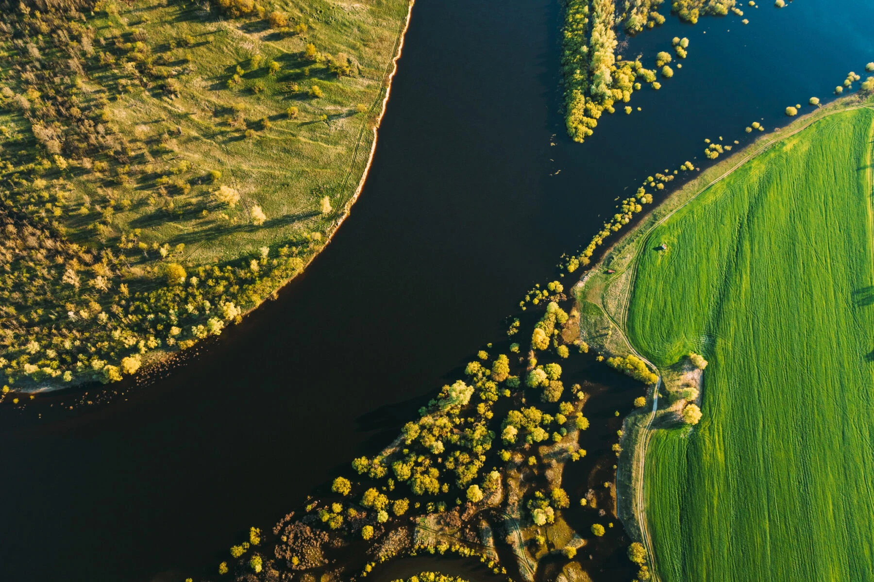 TNFD releases “Asking Better Questions on Nature” for board directors