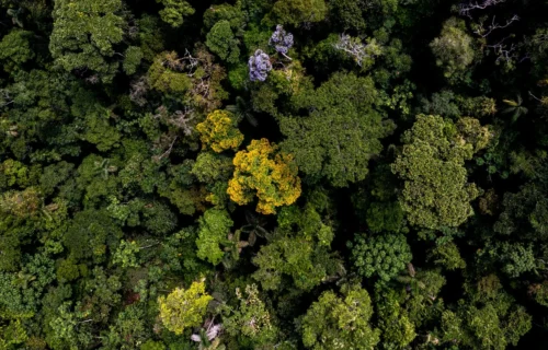 TNFD commences next phase of work on nature-related data solutions
