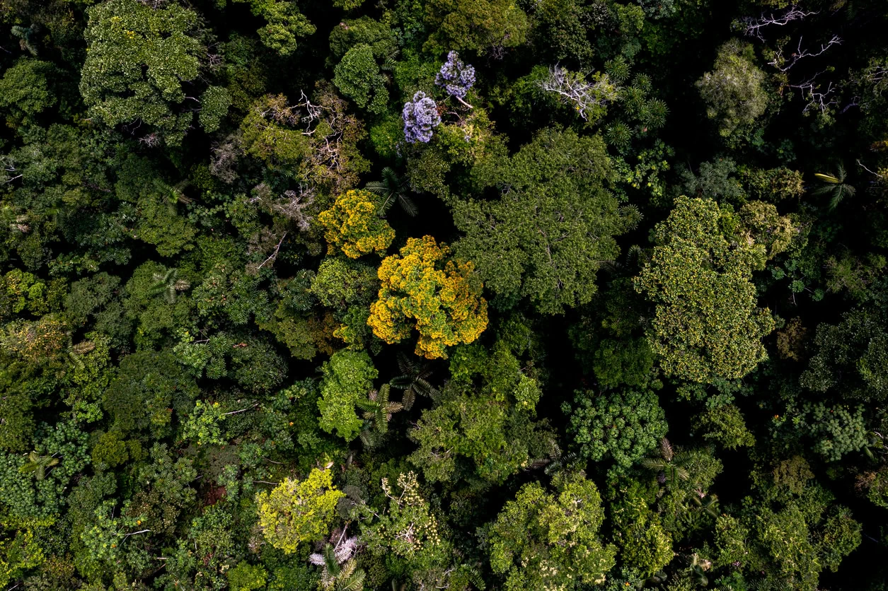 TNFD commences next phase of work on nature-related data solutions